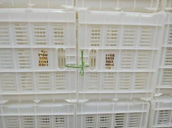 今麥郎、丹尼斯塑料筐